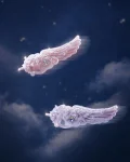 1_c315bc08-56ae-493b-a012-734025b82689